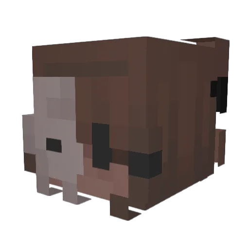 HappyButt123849 Minecraft avatar head, 3D render