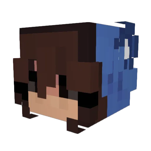 HappyCamper64 Minecraft avatar head, 3D render
