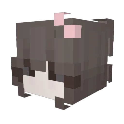 HappyCat0319 Minecraft avatar head, 3D render