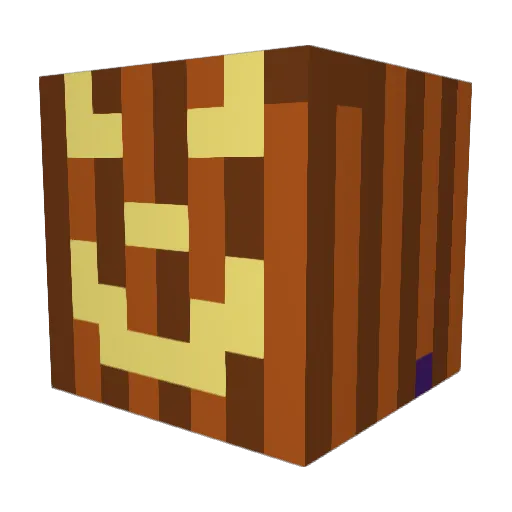 HappyDaddy49 Minecraft avatar head, 3D render