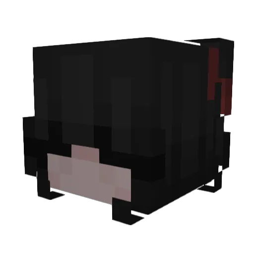 HappyFaceCat Minecraft avatar head, 3D render