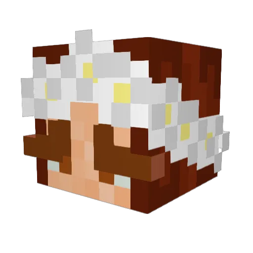 HappyHippie__ Minecraft avatar head, 3D render