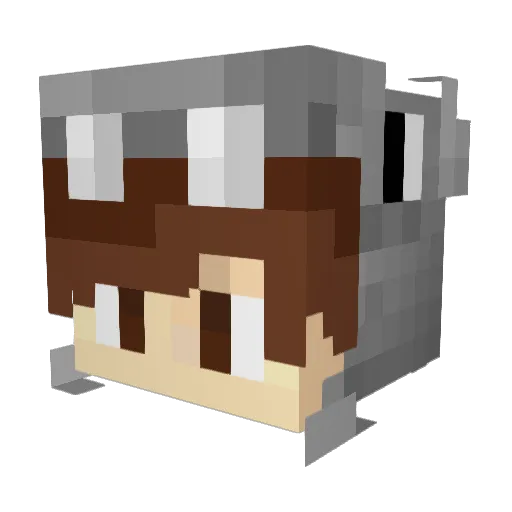 HappyHippo77 Minecraft avatar head, 3D render