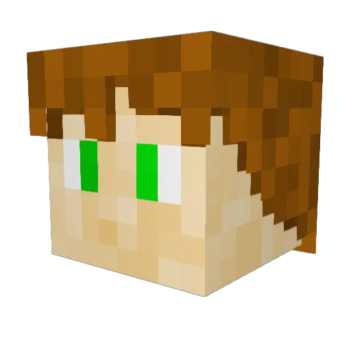 HappyHippy_ Minecraft avatar head, 3D render
