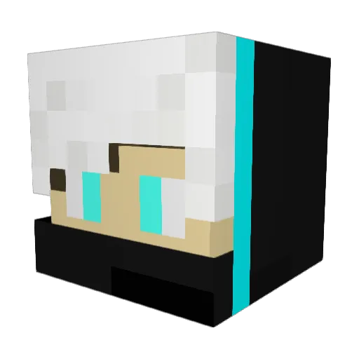 HappyJanitor Minecraft avatar head, 3D render