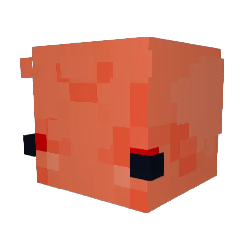 HappyMea1 Minecraft avatar head, 3D render
