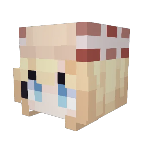 HappyMeowmeow Minecraft avatar head, 3D render