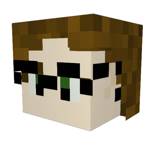 HappyPatri Minecraft avatar head, 3D render