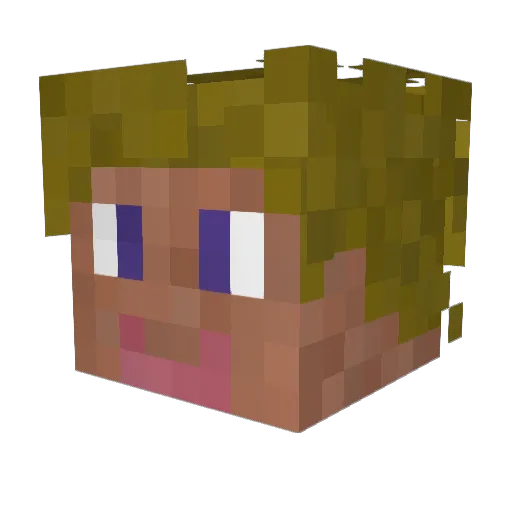 HappyScarab9353 Minecraft avatar head, 3D render