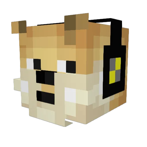 HappySkills Minecraft avatar head, 3D render