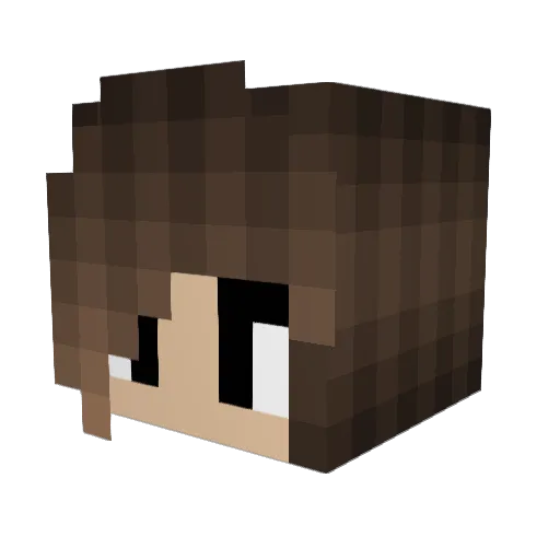 HappyTurtle_02 Minecraft avatar head, 3D render