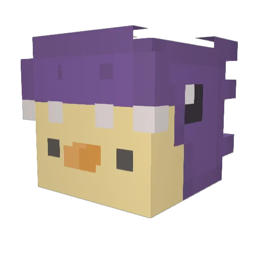 Happy_Face1234 Minecraft avatar head, 3D render