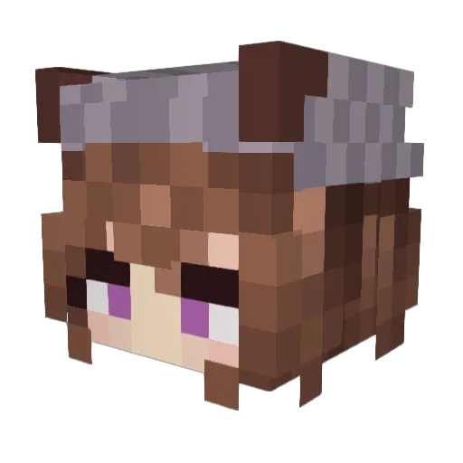 Happy_Joe0715 Minecraft avatar head, 3D render