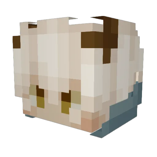 Happy_Ra1n Minecraft avatar head, 3D render