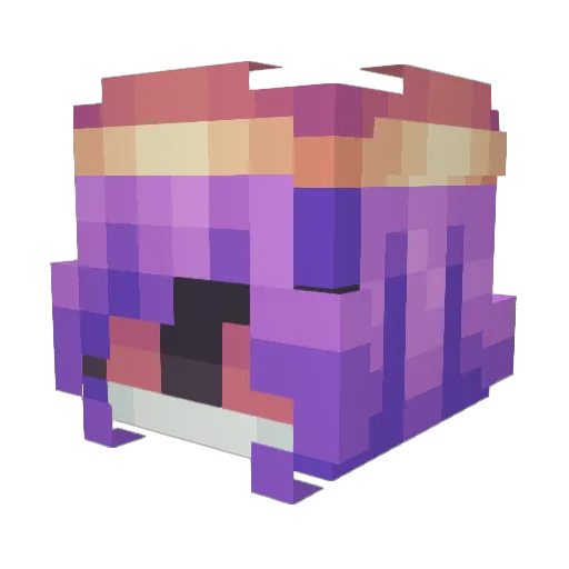 Happy_Thoughts0 Minecraft avatar head, 3D render