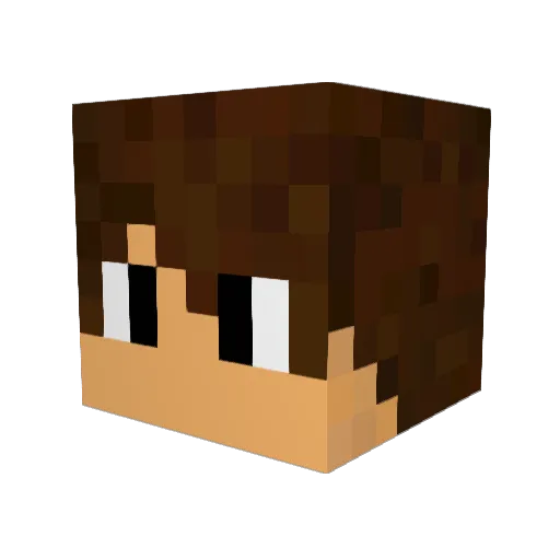 Happy_Tim Minecraft avatar head, 3D render