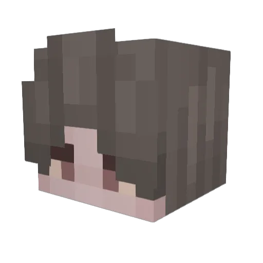 Happy__Gecko Minecraft avatar head, 3D render
