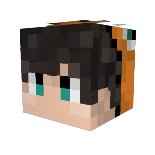 Happyboy1565 Minecraft avatar head, 3D render