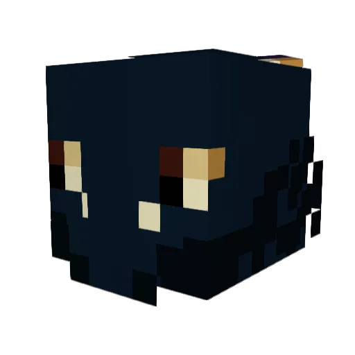 Happydogdog Minecraft avatar head, 3D render