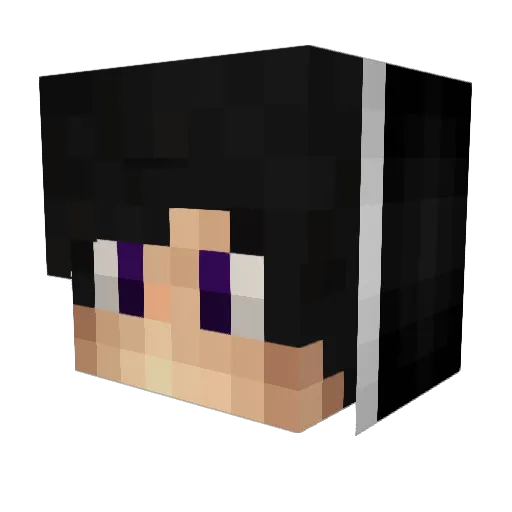 Happydoggo1 Minecraft avatar head, 3D render