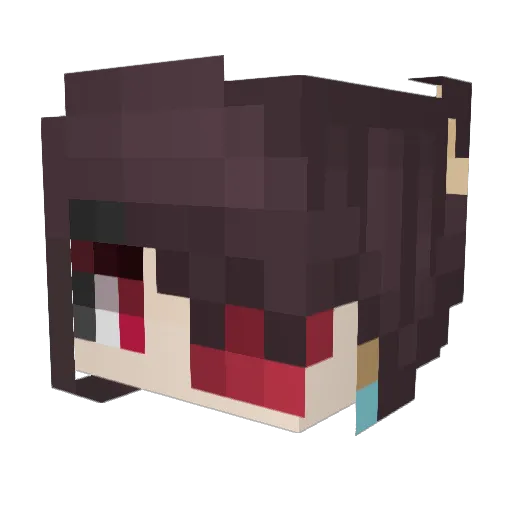 Happydomdom Minecraft avatar head, 3D render