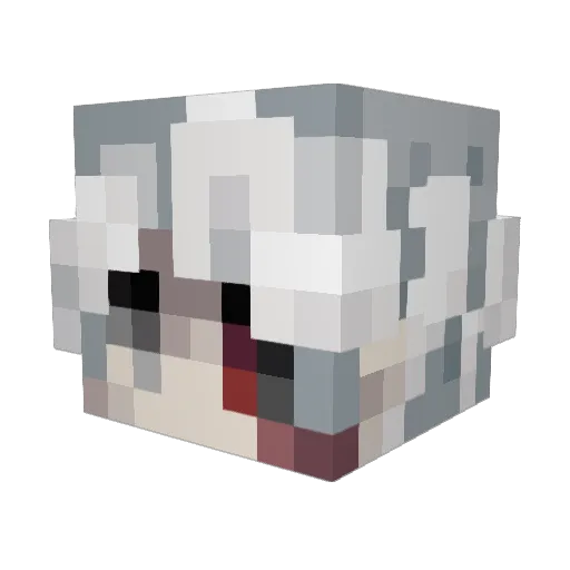 Happyfroggy111 Minecraft avatar head, 3D render