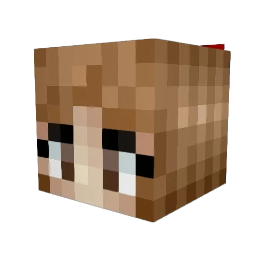 Happypet123 Minecraft avatar head, 3D render
