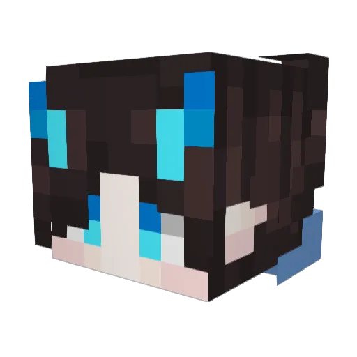 Happypup56 Minecraft avatar head, 3D render