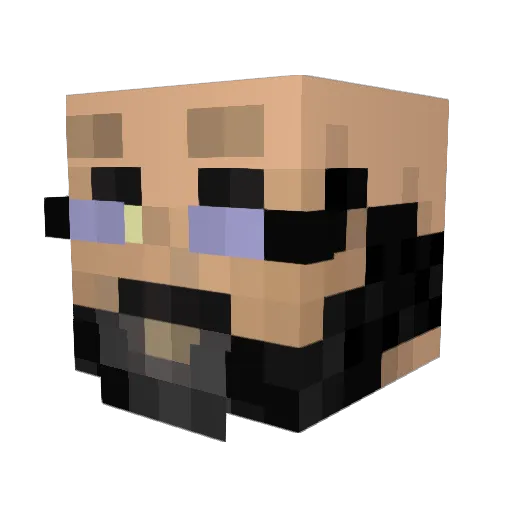 Haptoad Minecraft avatar head, 3D render