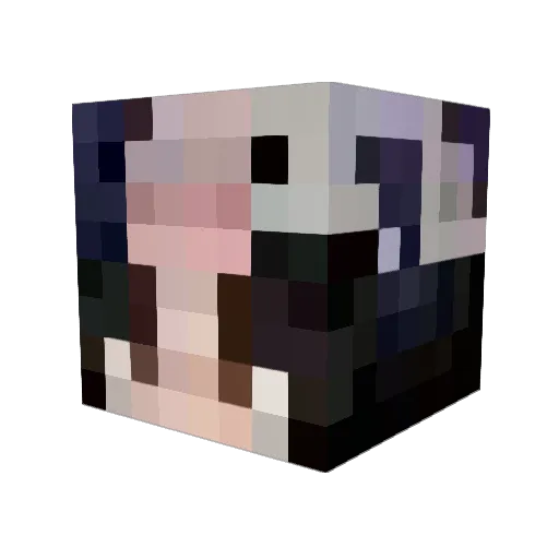 HarBar_ Minecraft avatar head, 3D render