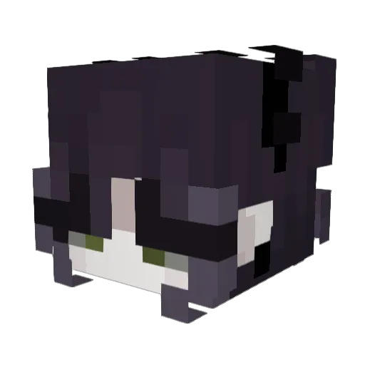 HarJlua Minecraft avatar head, 3D render