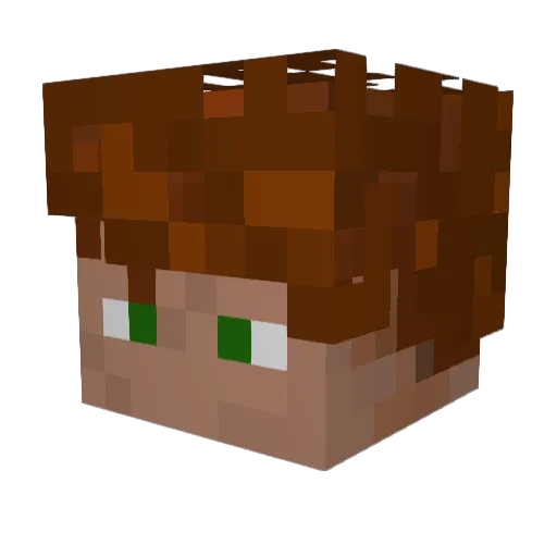 HarViz Minecraft avatar head, 3D render