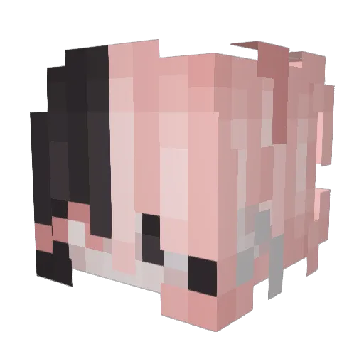 HarambeDatBoi43 Minecraft avatar head, 3D render