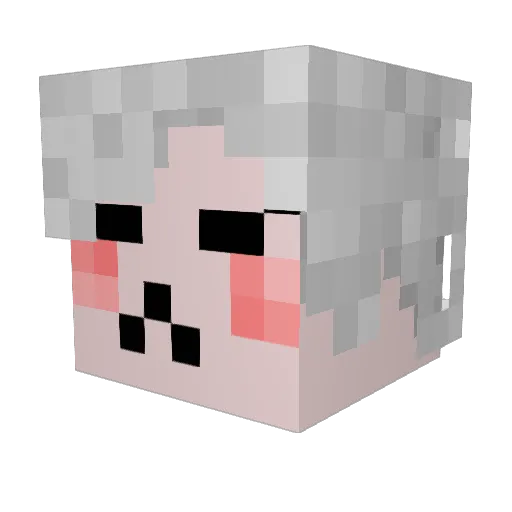Haraszo_oli Minecraft avatar head, 3D render