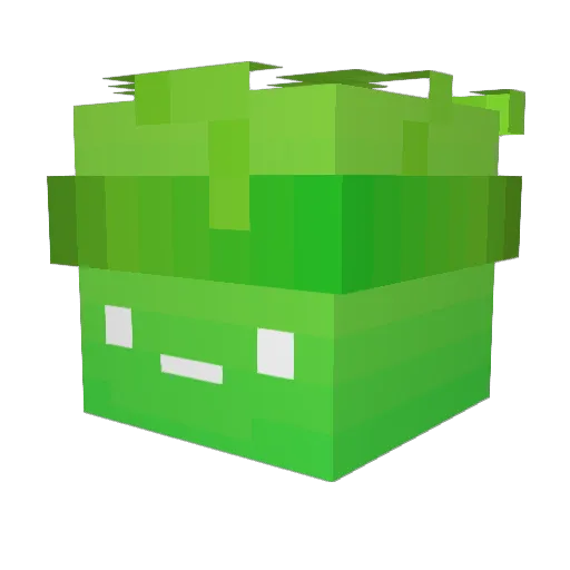 HarbourF1 Minecraft avatar head, 3D render