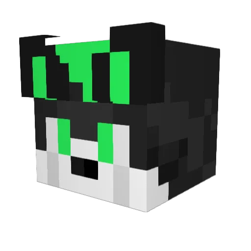 HarcyRaszkowski Minecraft avatar head, 3D render