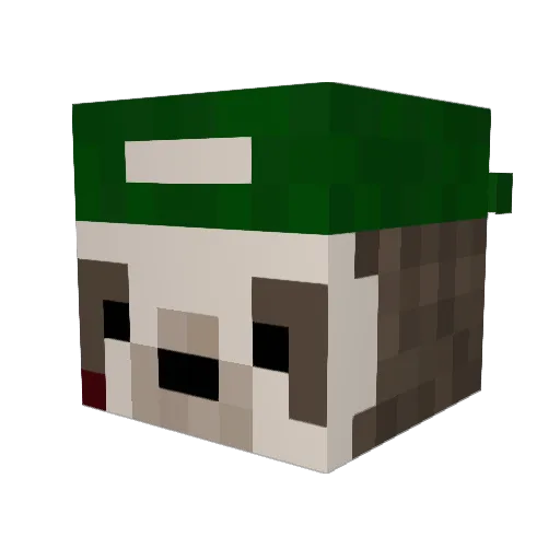 Hard2Kill96 Minecraft avatar head, 3D render