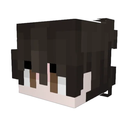 Hard6 Minecraft avatar head, 3D render