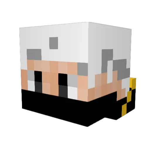 HardPlastic_ Minecraft avatar head, 3D render
