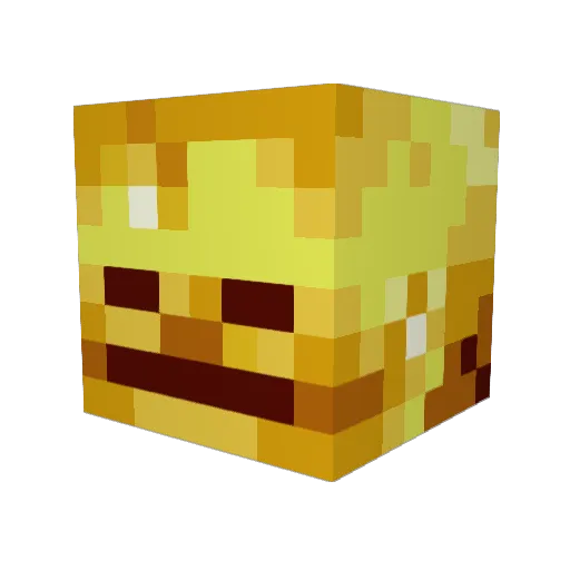 HardSplash Minecraft avatar head, 3D render