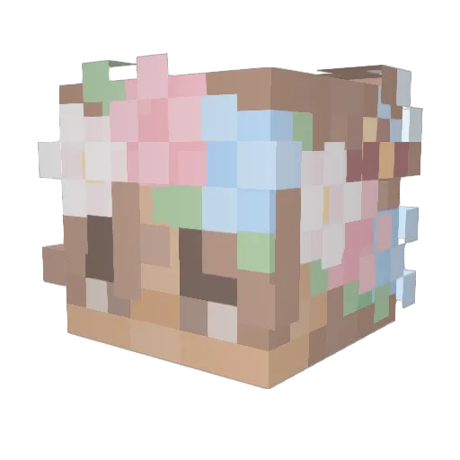 HardStone99 Minecraft avatar head, 3D render