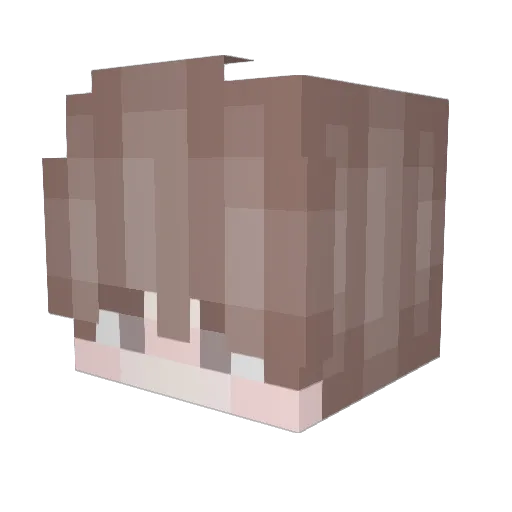 HardTofeex Minecraft avatar head, 3D render