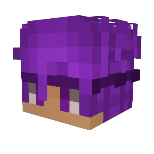 HardUsername Minecraft avatar head, 3D render