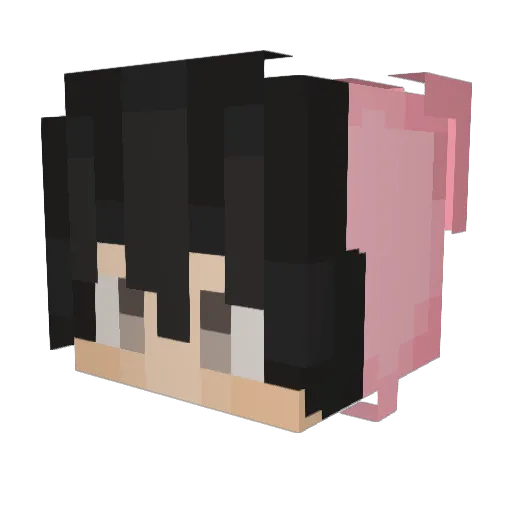 HardWrkingHusbnd Minecraft avatar head, 3D render