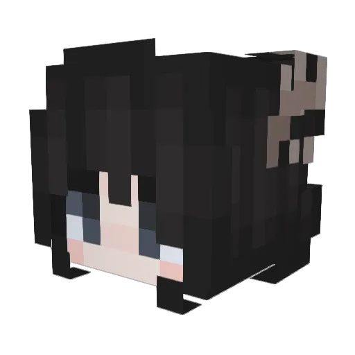 Hard_0noMen22811 Minecraft avatar head, 3D render