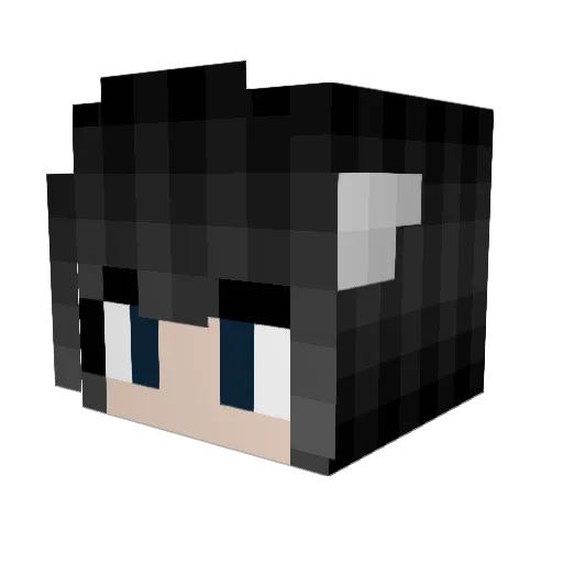 Hard_Baguette Minecraft avatar head, 3D render