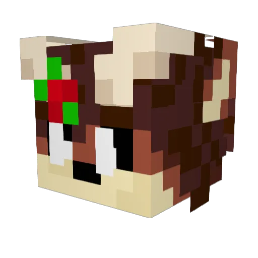 Hardcore5315 Minecraft avatar head, 3D render