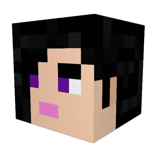 HardcoreHans Minecraft avatar head, 3D render