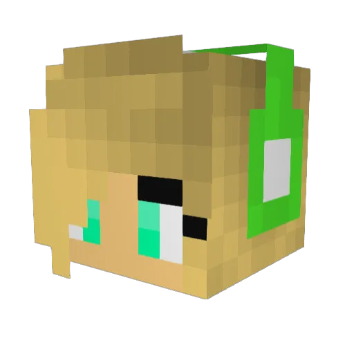 Hardcore_Sausage Minecraft avatar head, 3D render