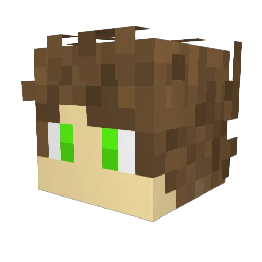 Hardii__ Minecraft avatar head, 3D render